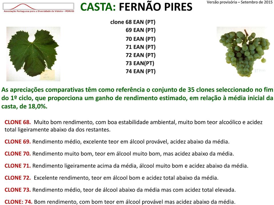 Muito bom rendimento, com boa estabilidade ambiental, muito bom teor alcoólico e acidez total ligeiramente abaixo da dos restantes. CLONE 69.