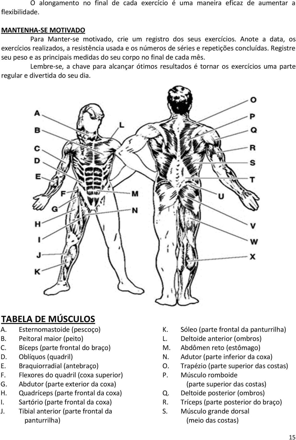 Lembre-se, a chave para alcançar ótimos resultados é tornar os exercícios uma parte regular e divertida do seu dia. TABELA DE MÚSCULOS A. Esternomastoide (pescoço) B. Peitoral maior (peito) C.