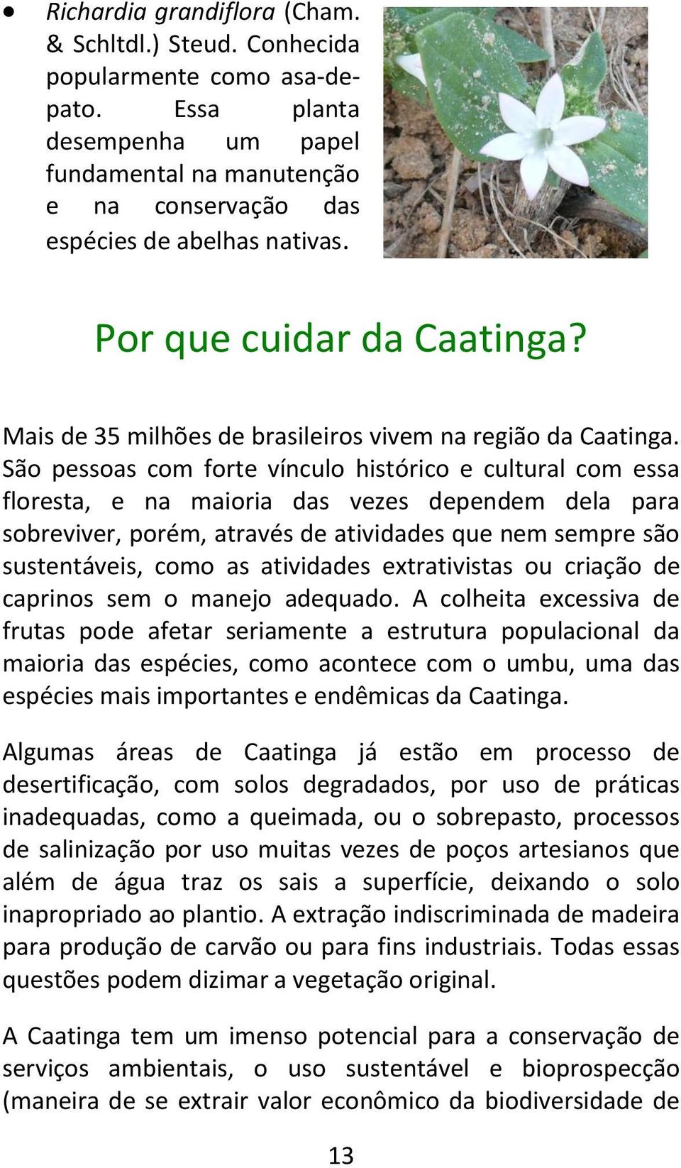 São pessoas com forte vínculo histórico e cultural com essa floresta, e na maioria das vezes dependem dela para sobreviver, porém, através de atividades que nem sempre são sustentáveis, como as