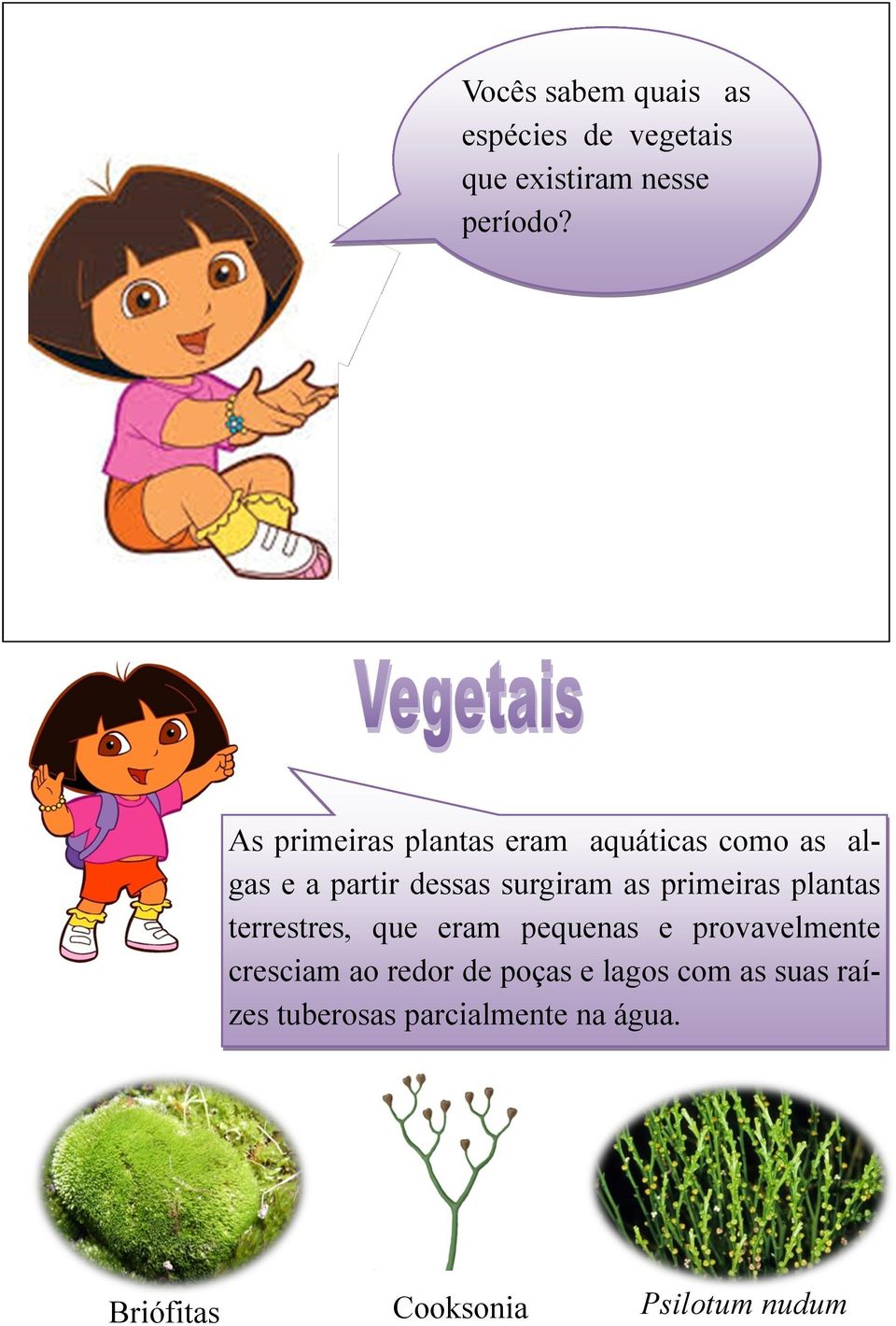 primeiras plantas terrestres, que eram pequenas e provavelmente cresciam ao redor