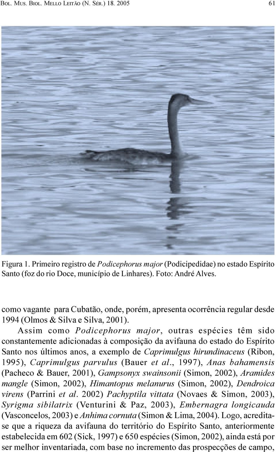 composição da avifauna do estado do Espírito Santo nos últimos anos, a exemplo de Caprimulgus hirundinaceus (Ribon, 1995), Caprimulgus parvulus (Bauer et al, 1997), Anas bahamensis (Pacheco & Bauer,