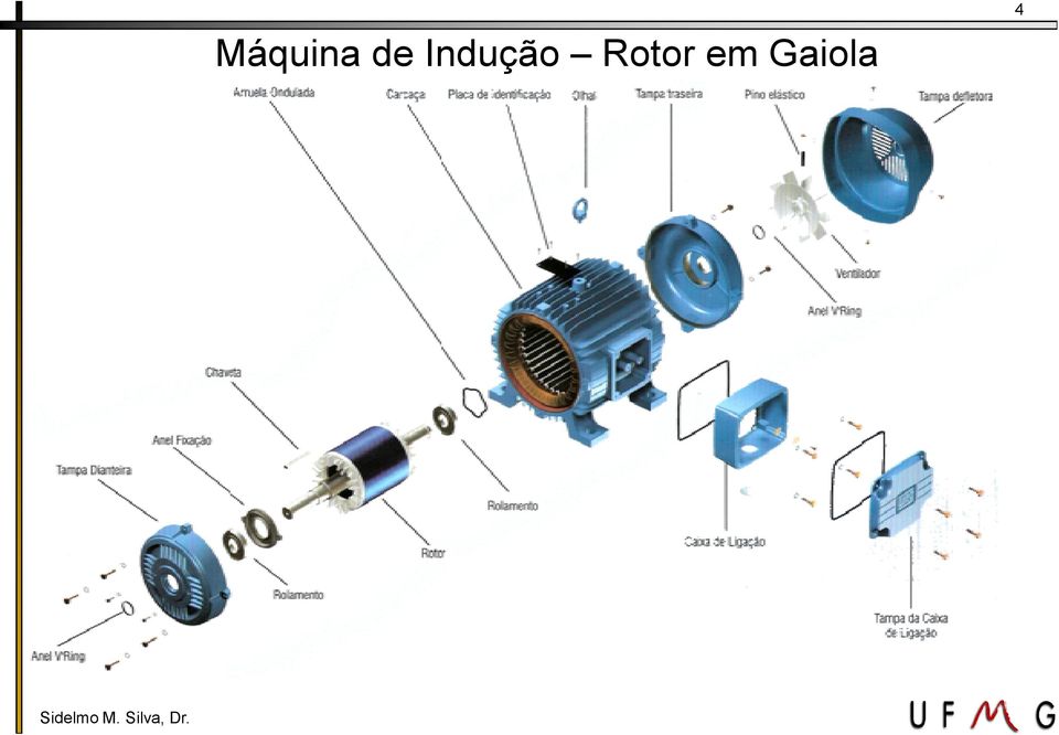 Indução