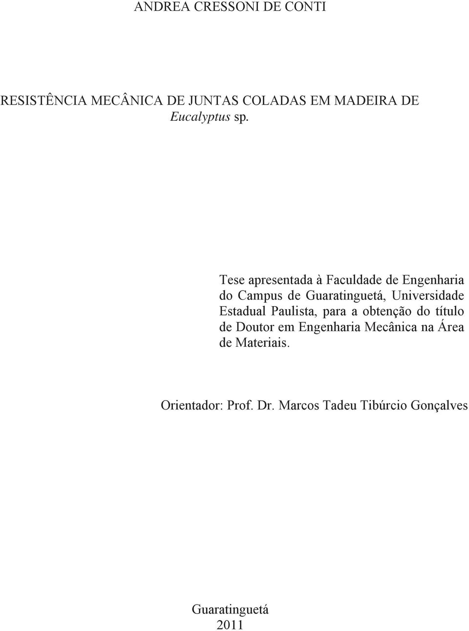 Tese apresentada à Faculdade de Engenharia do Campus de Guaratinguetá, Universidade