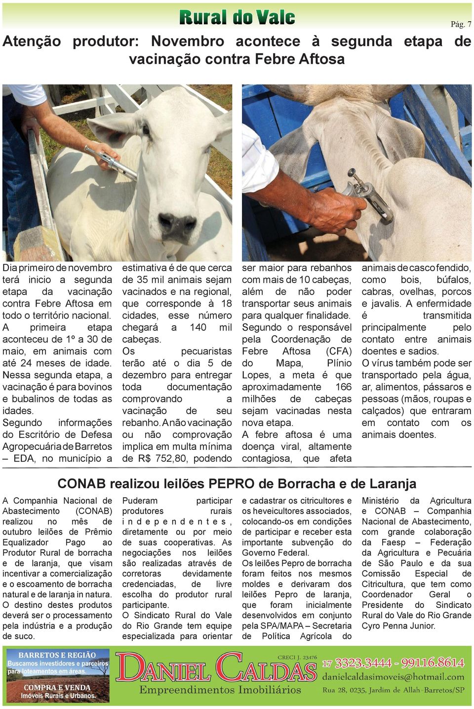 Segundo informações do Escritório Defesa Agropecuária Barretos EDA, no município a estimativa é que cerca 35 mil animais sejam vacinados e na regional, que correspon à 18 cidas, esse número chegará a