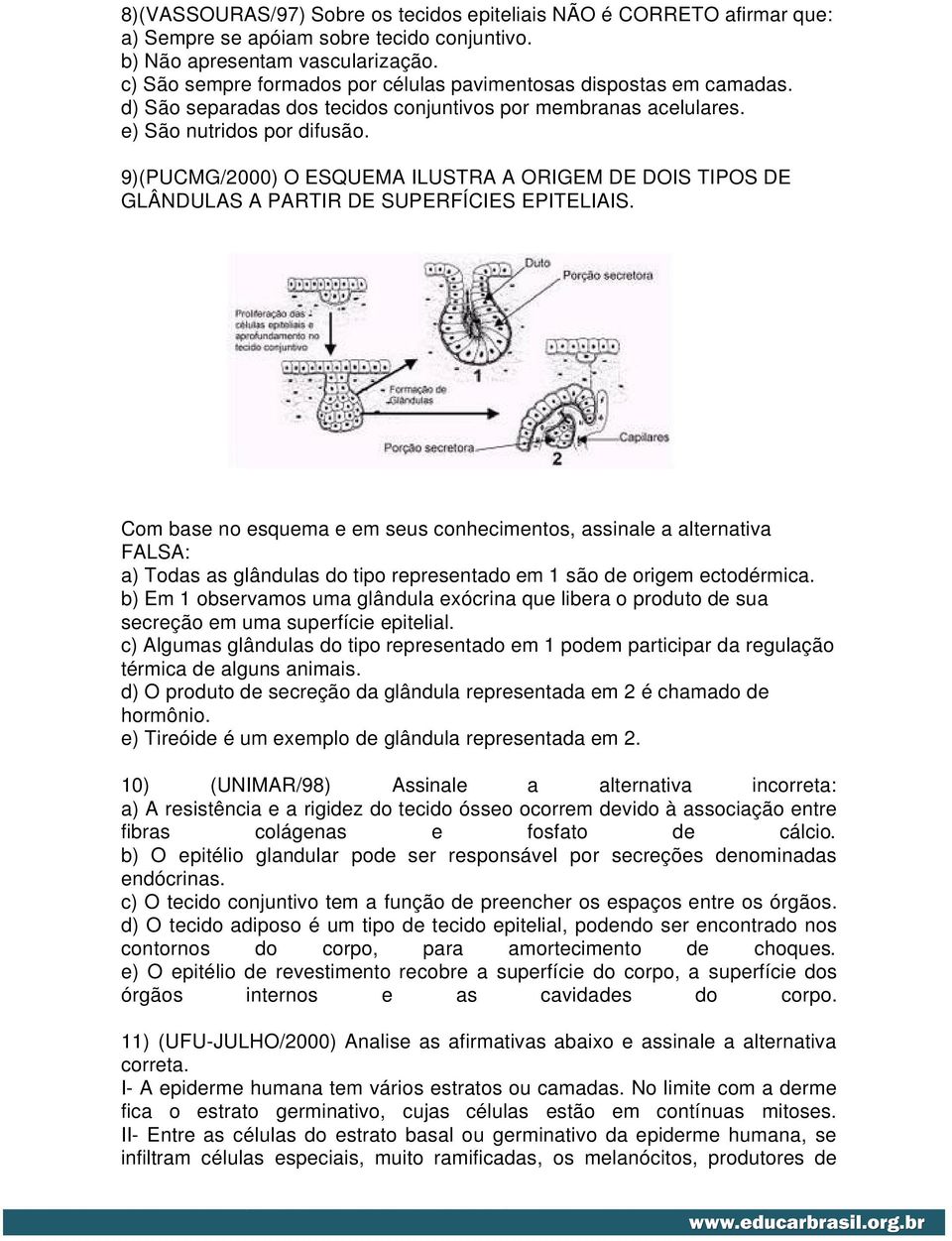 9)(PUCMG/2000) O ESQUEMA ILUSTRA A ORIGEM DE DOIS TIPOS DE GLÂNDULAS A PARTIR DE SUPERFÍCIES EPITELIAIS.