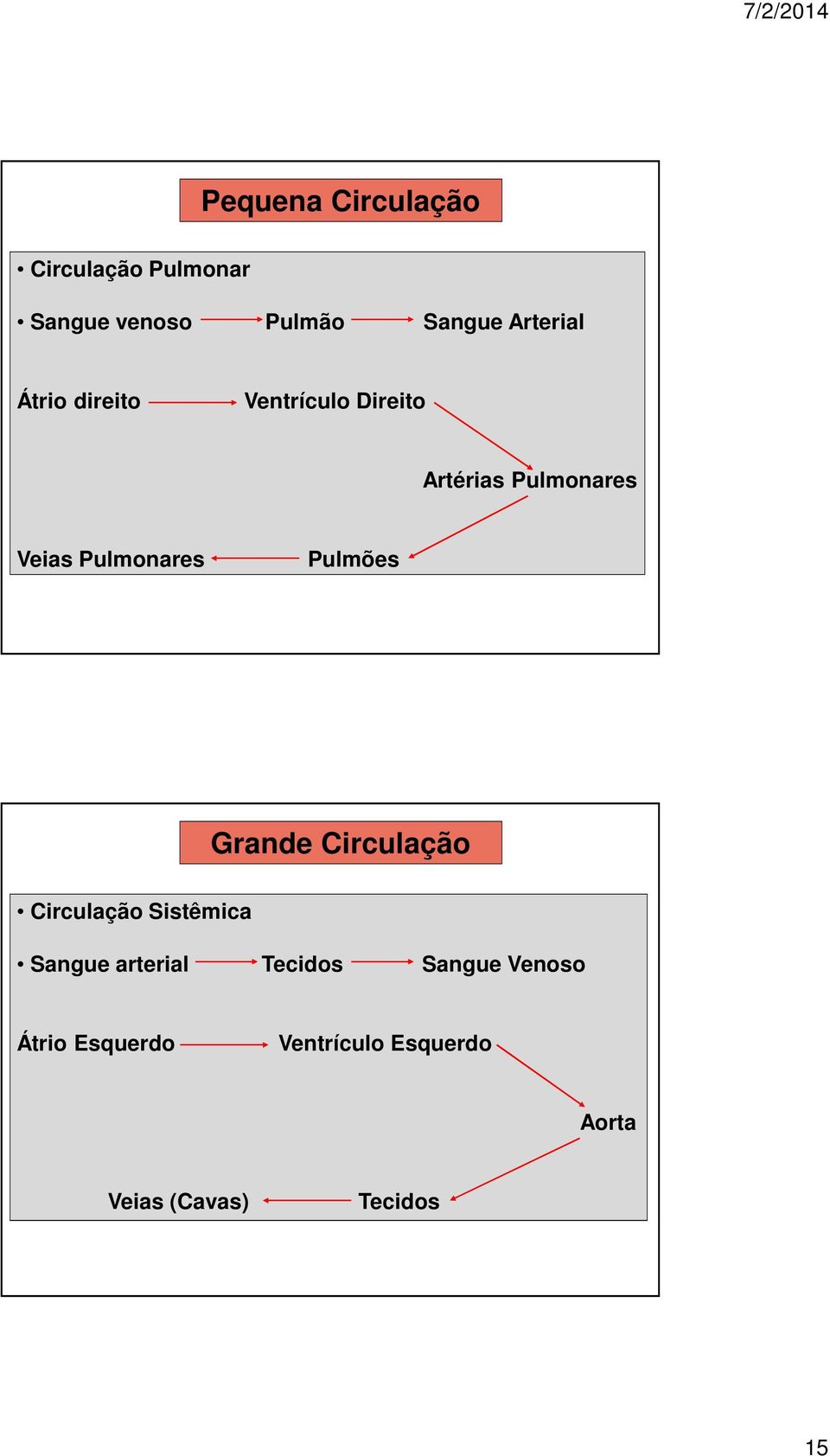 Pulmonares Pulmões Grande Circulação Circulação Sistêmica Sangue arterial