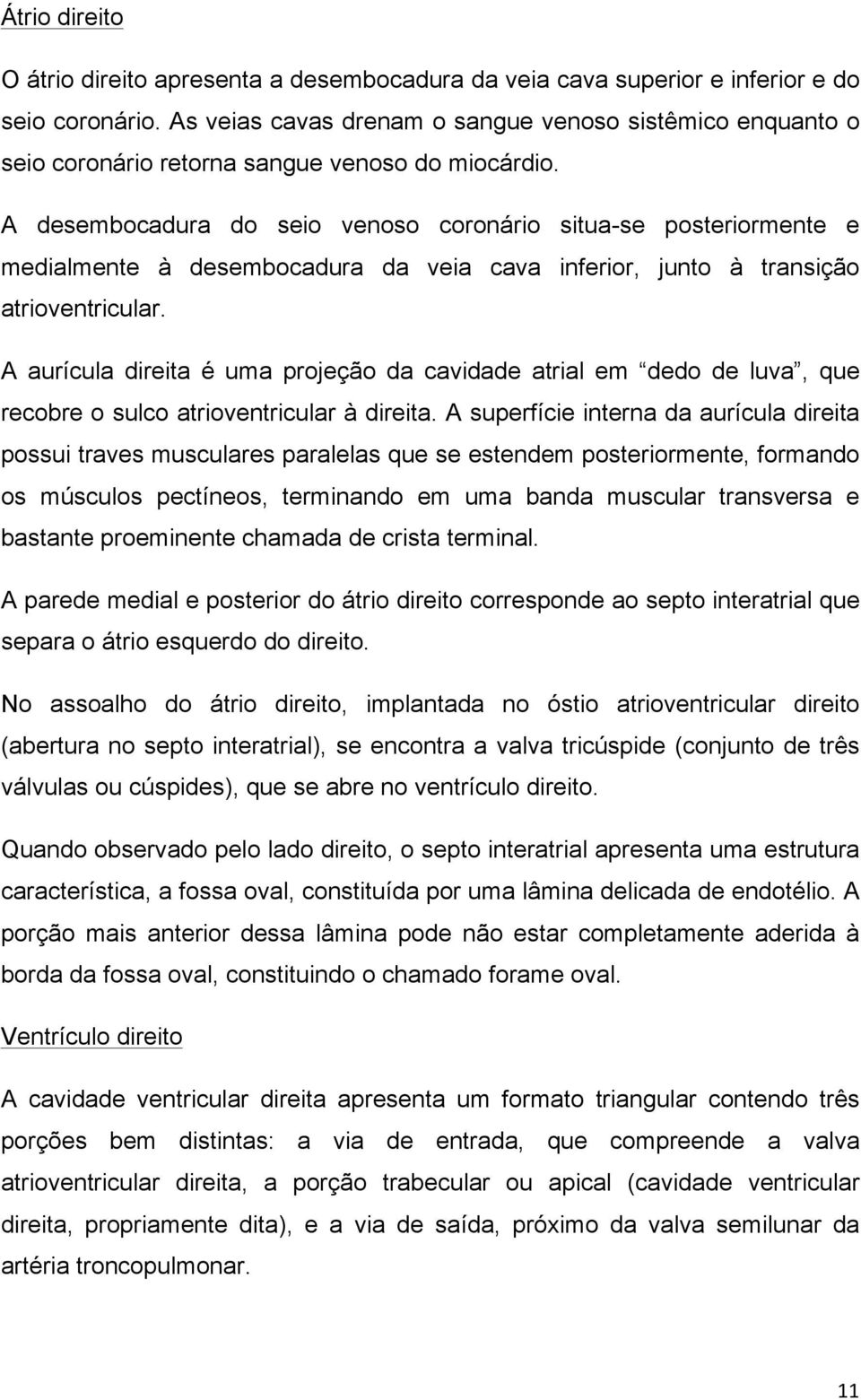 A desembocadura do seio venoso coronário situa-se posteriormente e medialmente à desembocadura da veia cava inferior, junto à transição atrioventricular.