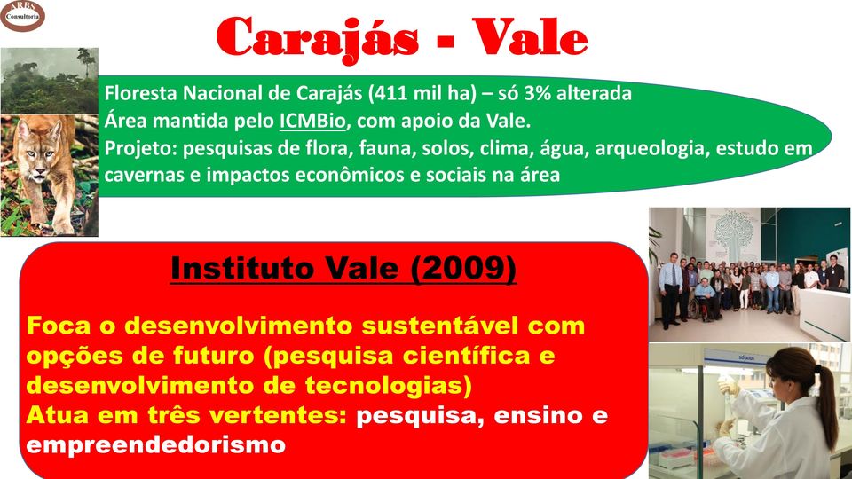 Projeto: pesquisas de flora, fauna, solos, clima, água, arqueologia, estudo em cavernas e impactos econômicos