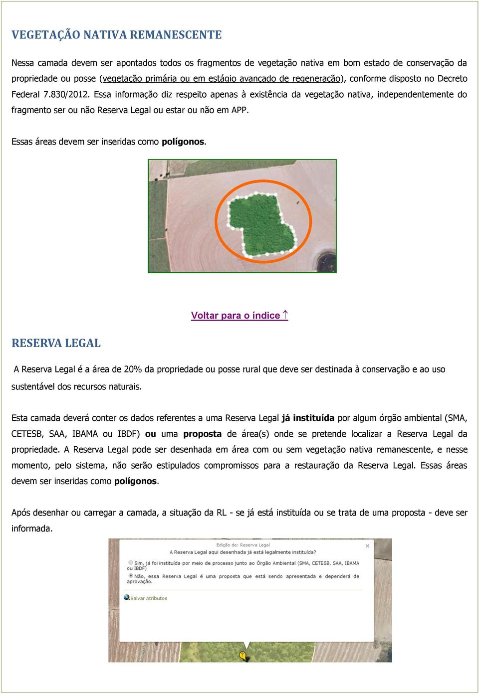 Essa informação diz respeito apenas à existência da vegetação nativa, independentemente do fragmento ser ou não Reserva Legal ou estar ou não em APP. Essas áreas devem ser inseridas como polígonos.