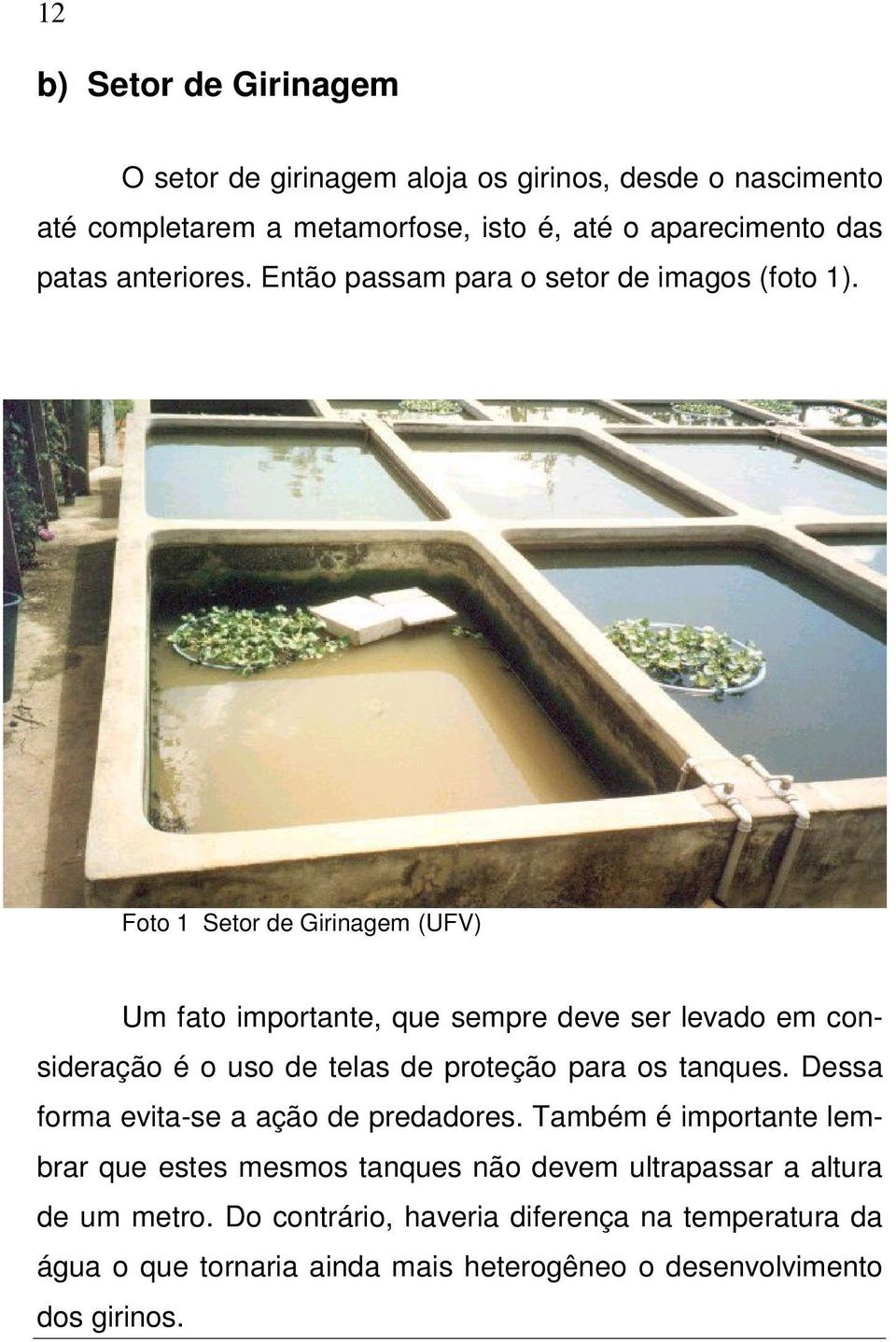 Foto 1 Setor de Girinagem (UFV) Um fato importante, que sempre deve ser levado em consideração é o uso de telas de proteção para os tanques.