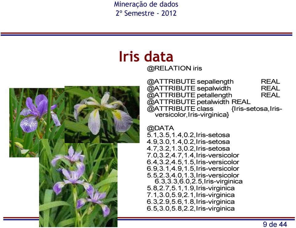 2,Iris-setosa 7.0,3.2,4.7,1.4,Iris-versicolor 6.4,3.2,4.5,1.5,Iris-versicolor 6.9,3.1,4.9,1.5,Iris-versicolor 5.5,2.3,4.0,1.3,Iris-versicolor 6.