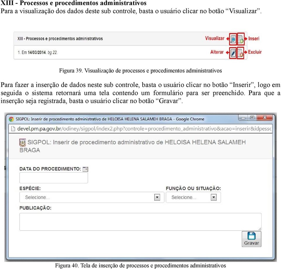 Visualização de processos e procedimentos administrativos Para fazer a inserção de dados neste sub controle, basta o usuário clicar no