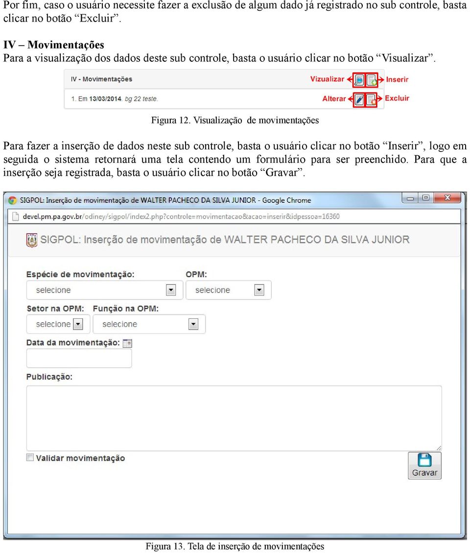 Visualização de movimentações Para fazer a inserção de dados neste sub controle, basta o usuário clicar no botão Inserir, logo em seguida o