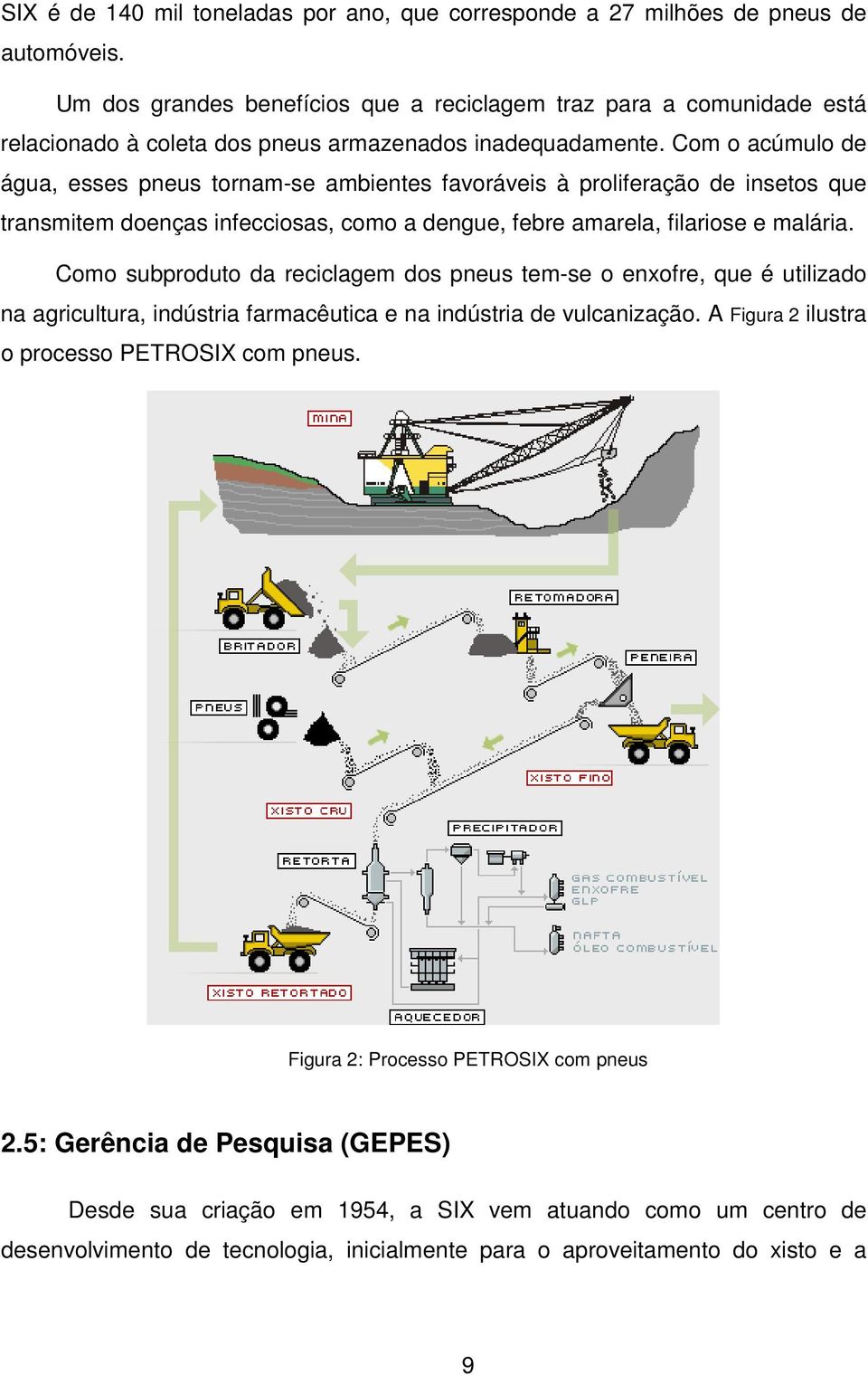 Com o acúmulo de água, esses pneus tornam-se ambientes favoráveis à proliferação de insetos que transmitem doenças infecciosas, como a dengue, febre amarela, filariose e malária.