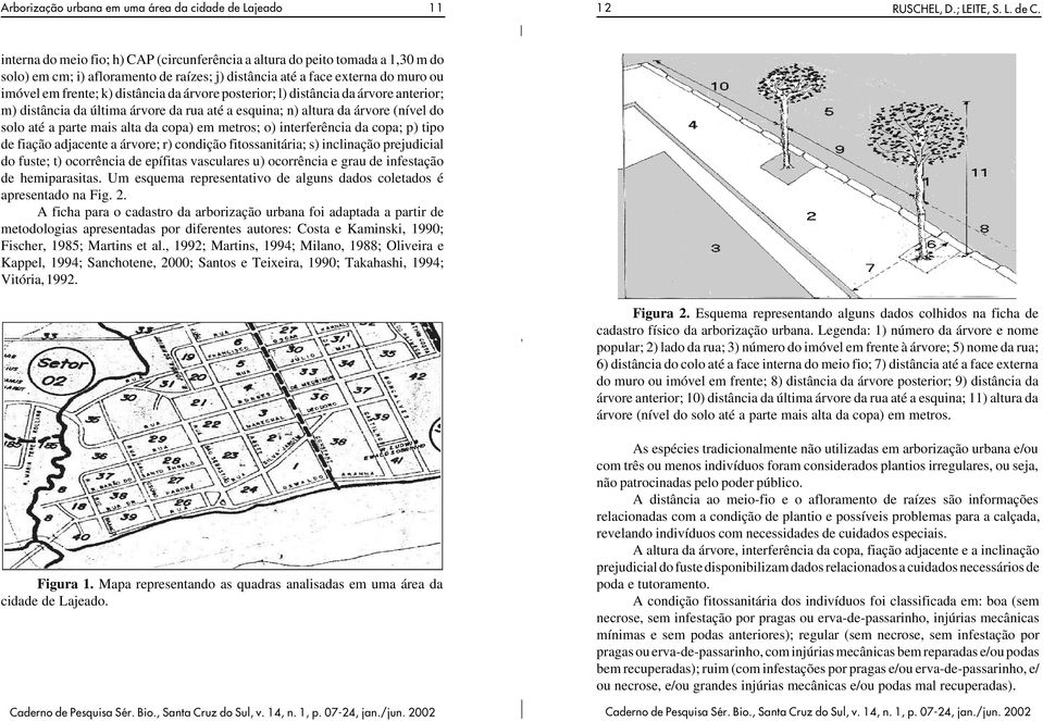 a parte mais alta da copa) em metros; o) interferência da copa; p) tipo de fiação adjacente a árvore; r) condição fitossanitária; s) inclinação prejudicial do fuste; t) ocorrência de epífitas