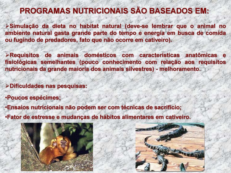 Requisitos de animais domésticos com características anatômicas e fisiológicas semelhantes (pouco conhecimento com relação aos requisitos nutricionais da