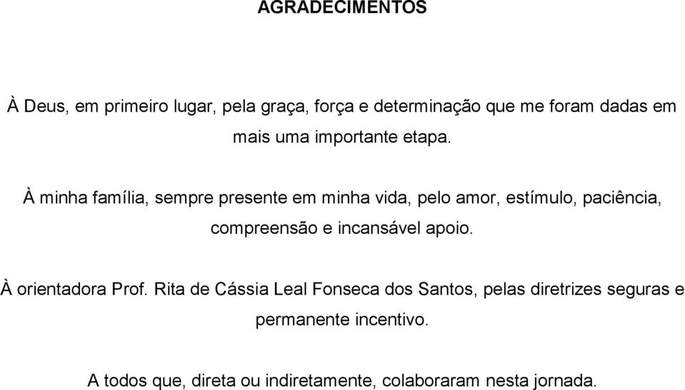 À minha família, sempre presente em minha vida, pelo amor, estímulo, paciência, compreensão e