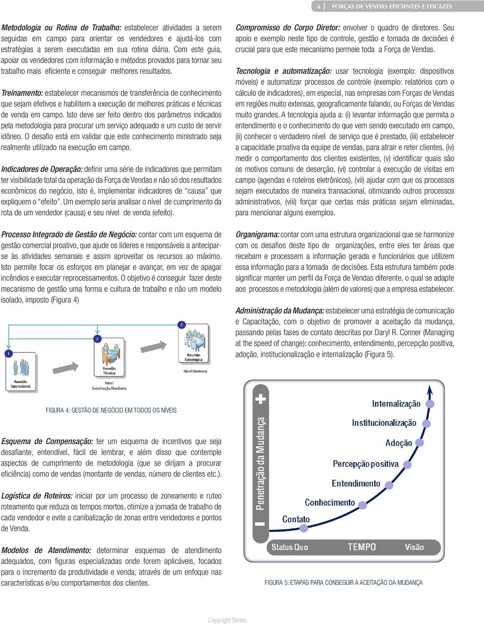 Treinamento: estabelecer mecanismos de transferência de conhecimento que sejam efetivos e habilitem a execução de melhores práticas e técnicas de venda em campo.