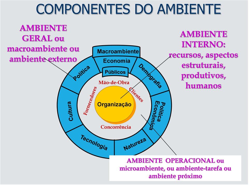 aspectos estruturais, produtivos, humanos Organização Concorrência