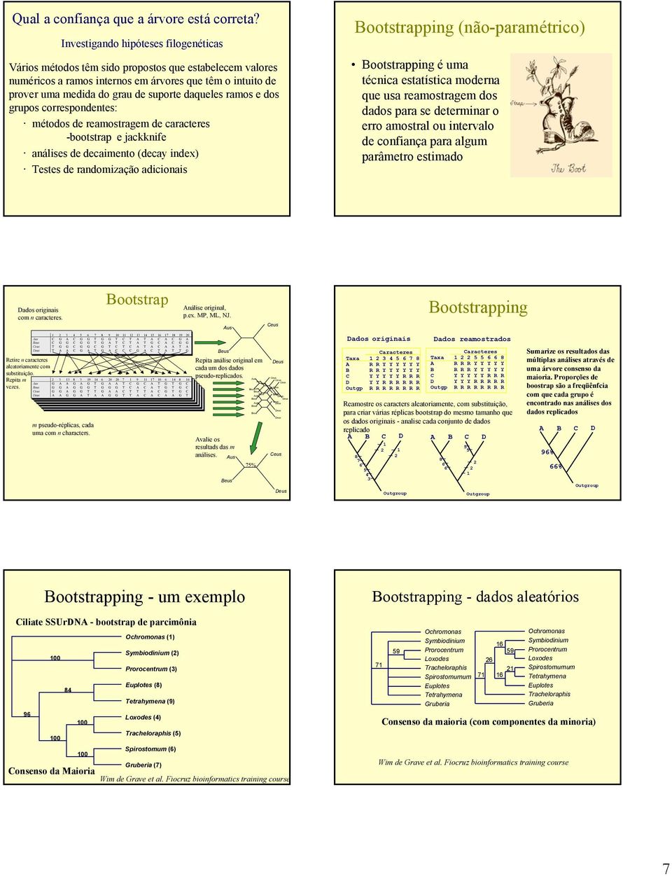 ramos e dos grupos correspondentes: métodos de reamostragem de caracteres -bootstrap e jackknife análises de decaimento (decay index) Testes de randomização adicionais Bootstrapping (não-paramétrico)