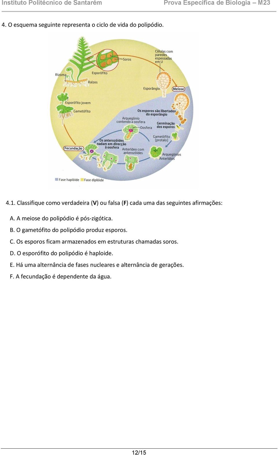A meiose do polipódio é pós-zigótica. B. O gametófito do polipódio produz esporos. C.