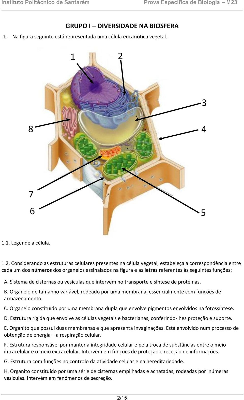 Considerando as estruturas celulares presentes na célula vegetal, estabeleça a correspondência entre cada um dos números dos organelos assinalados na figura e as letras referentes às seguintes