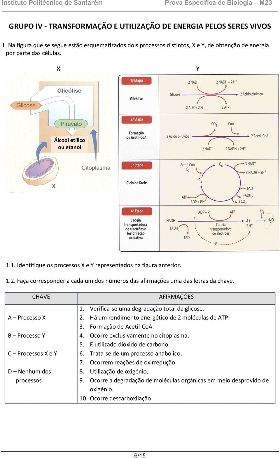 CHAVE A Processo X B Processo Y C Processos X e Y D Nenhum dos processos AFIRMAÇÕES 1. Verifica-se uma degradação total da glicose. 2. Há um rendimento energético de 2 moléculas de ATP. 3.