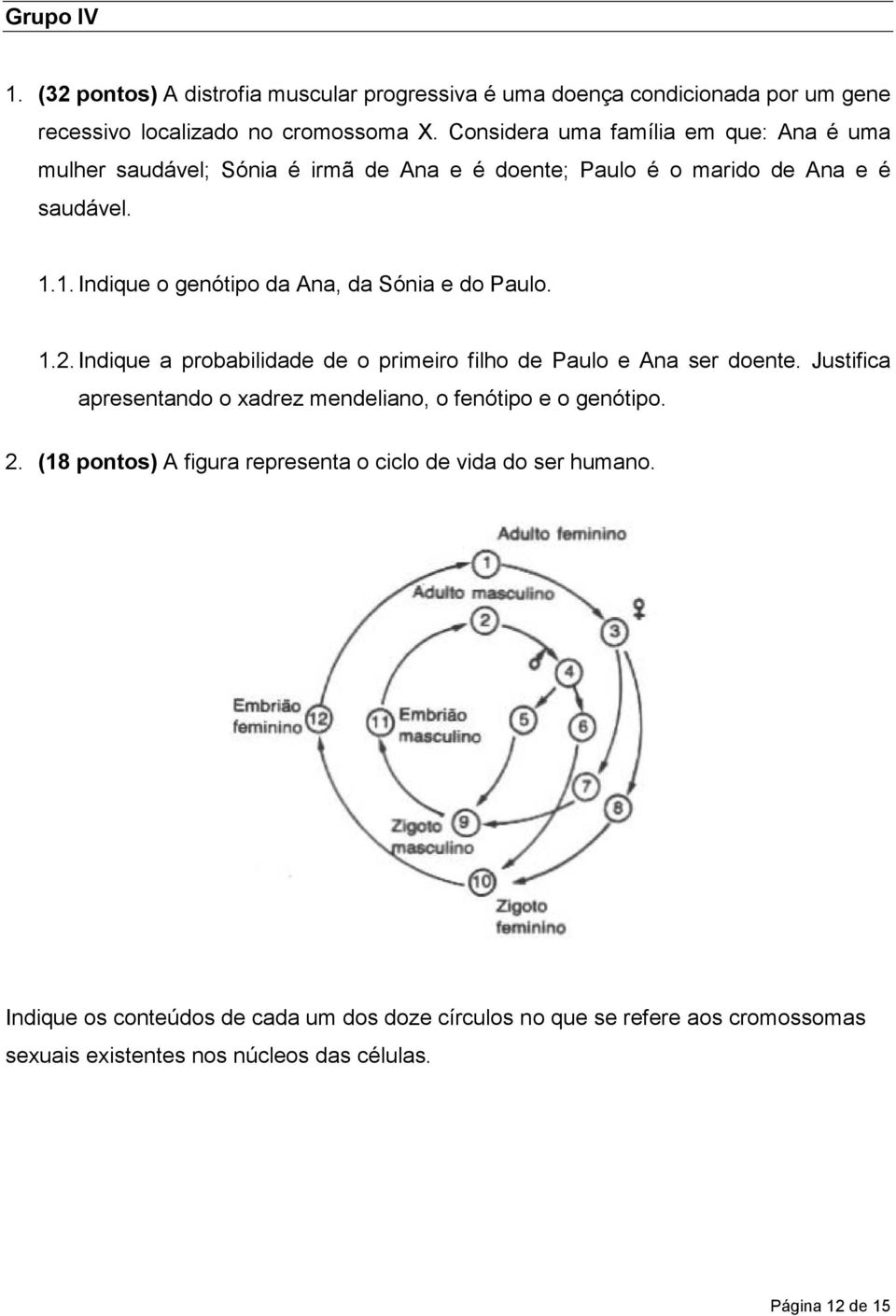 1. Indique o genótipo da Ana, da Sónia e do Paulo. 1.2. Indique a probabilidade de o primeiro filho de Paulo e Ana ser doente.