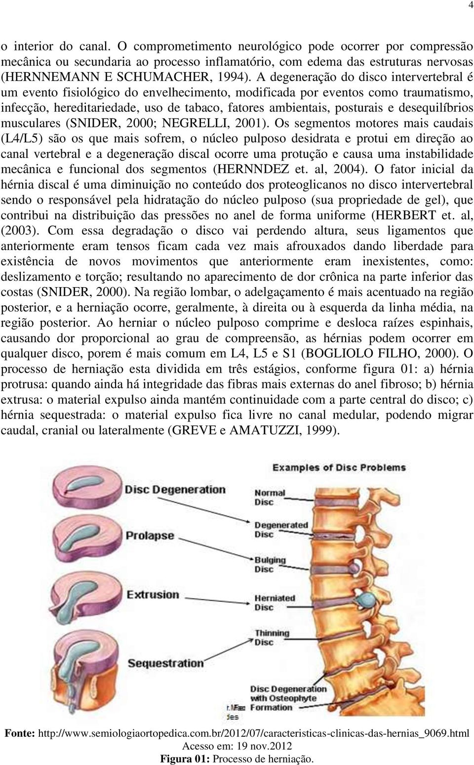 desequilíbrios musculares (SNIDER, 2000; NEGRELLI, 2001).