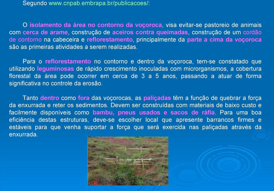 cabeceira e reflorestamento, principalmente da parte a cima da voçoroca são as primeiras atividades a serem realizadas.