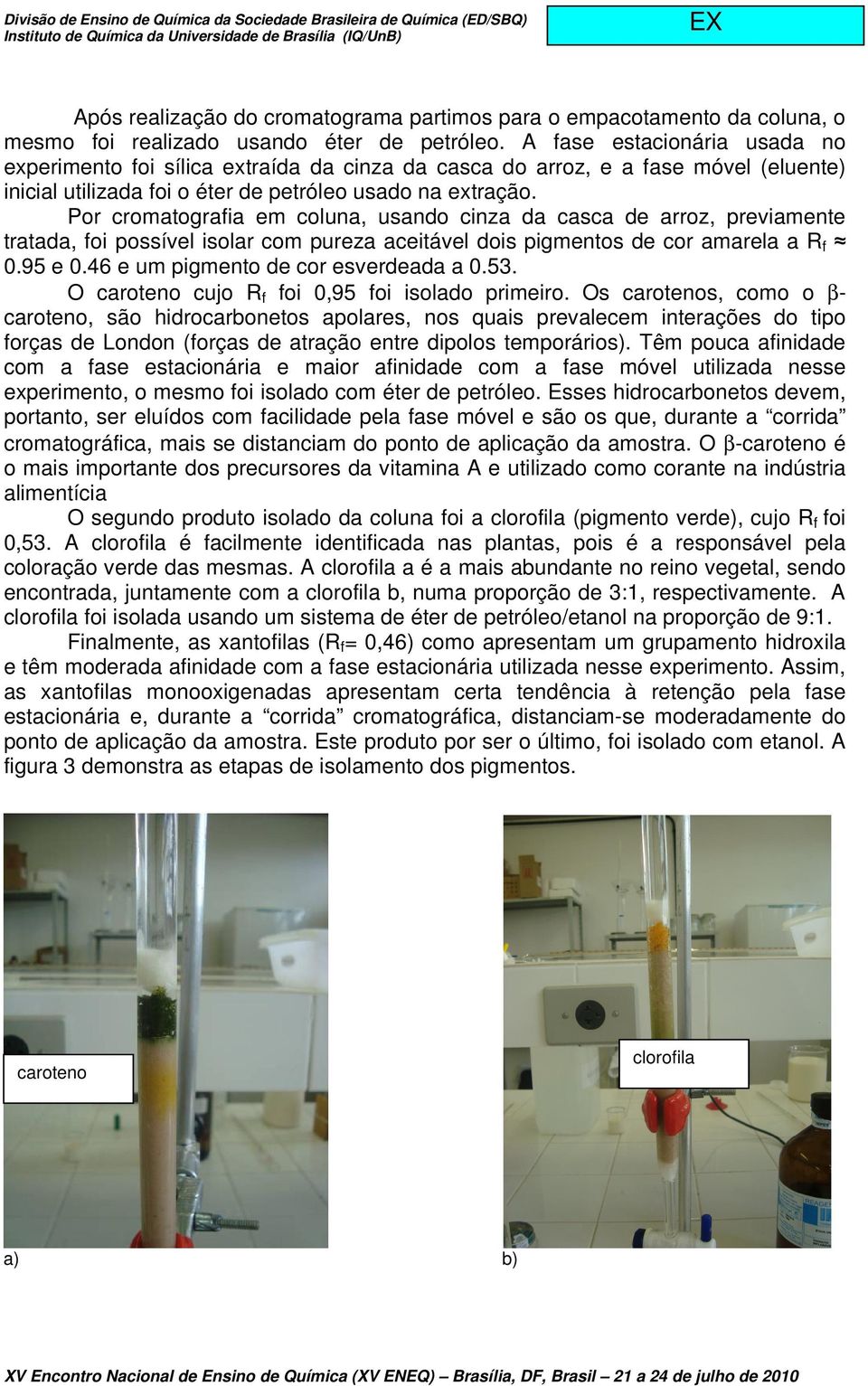 Por cromatografia em coluna, usando cinza da casca de arroz, previamente tratada, foi possível isolar com pureza aceitável dois pigmentos de cor amarela a R f 0.95 e 0.