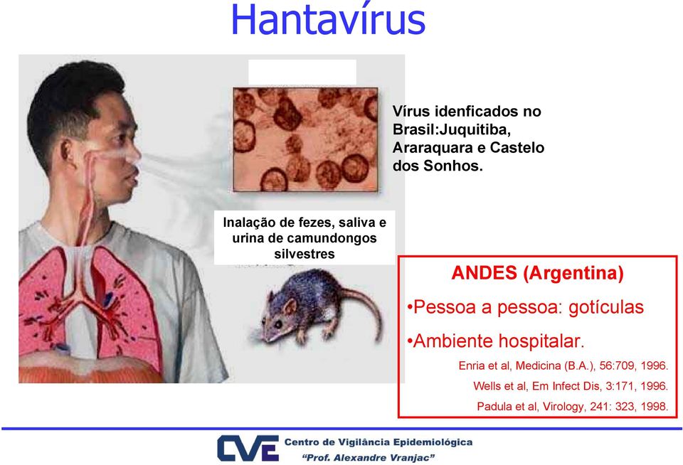 Pessoa a pessoa: gotículas Ambiente hospitalar. Enria et al, Medicina (B.A.), 56:709, 1996.