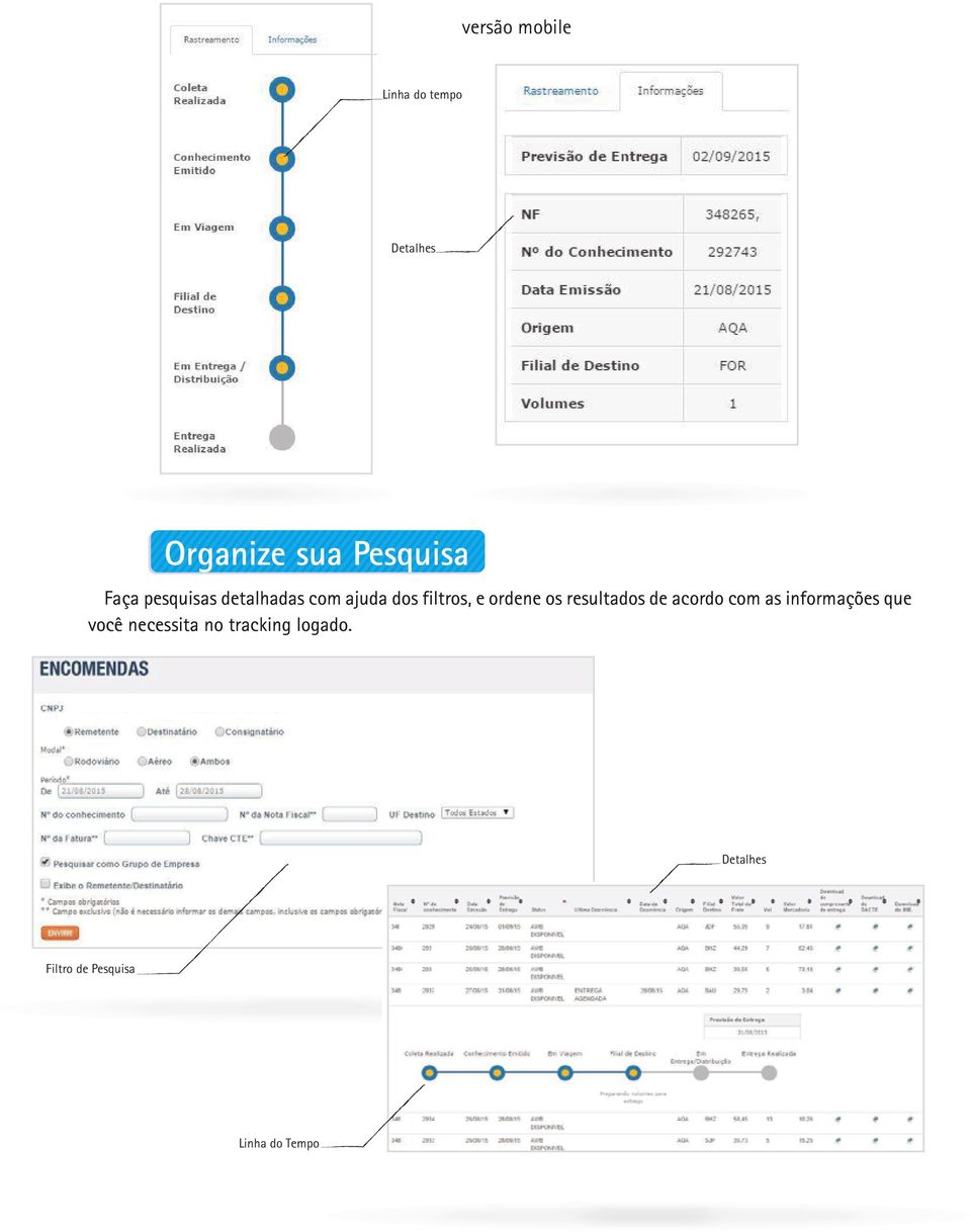 resultados de acordo com as informações que você