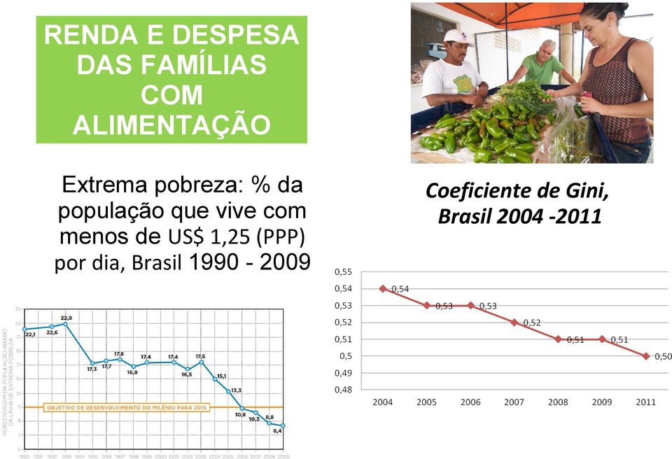 menos de US$ 1,25 (PPP) por dia, Brasil