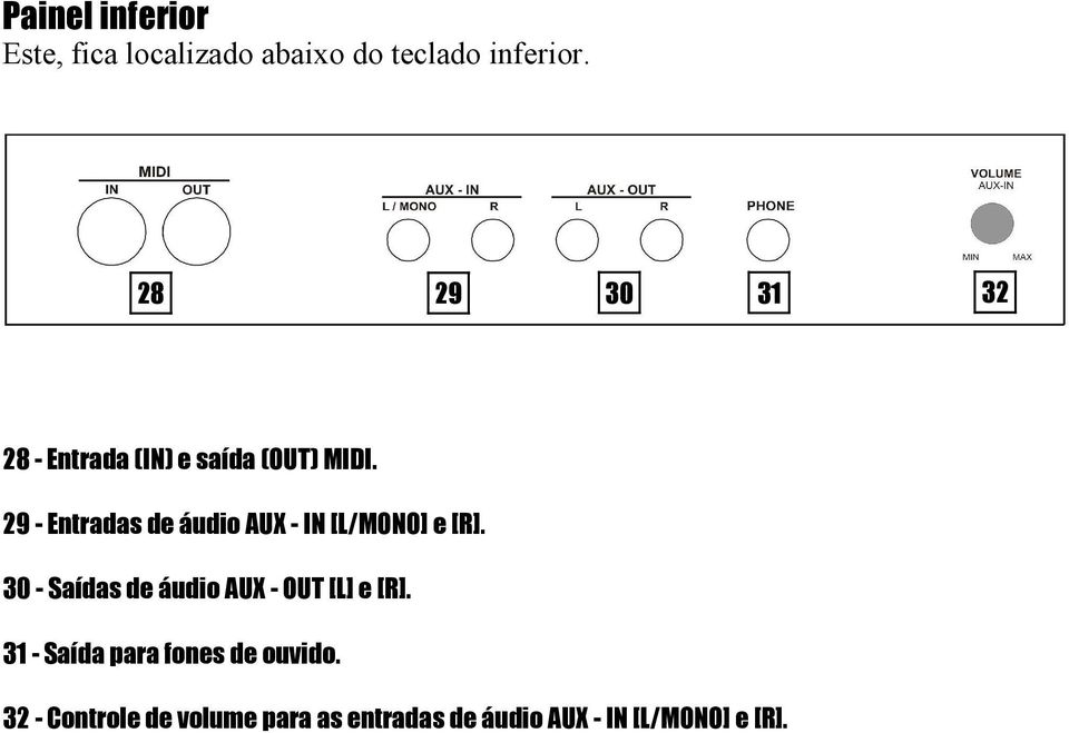 29 - Entradas de áudio AUX - IN [L/MONO] e [R].