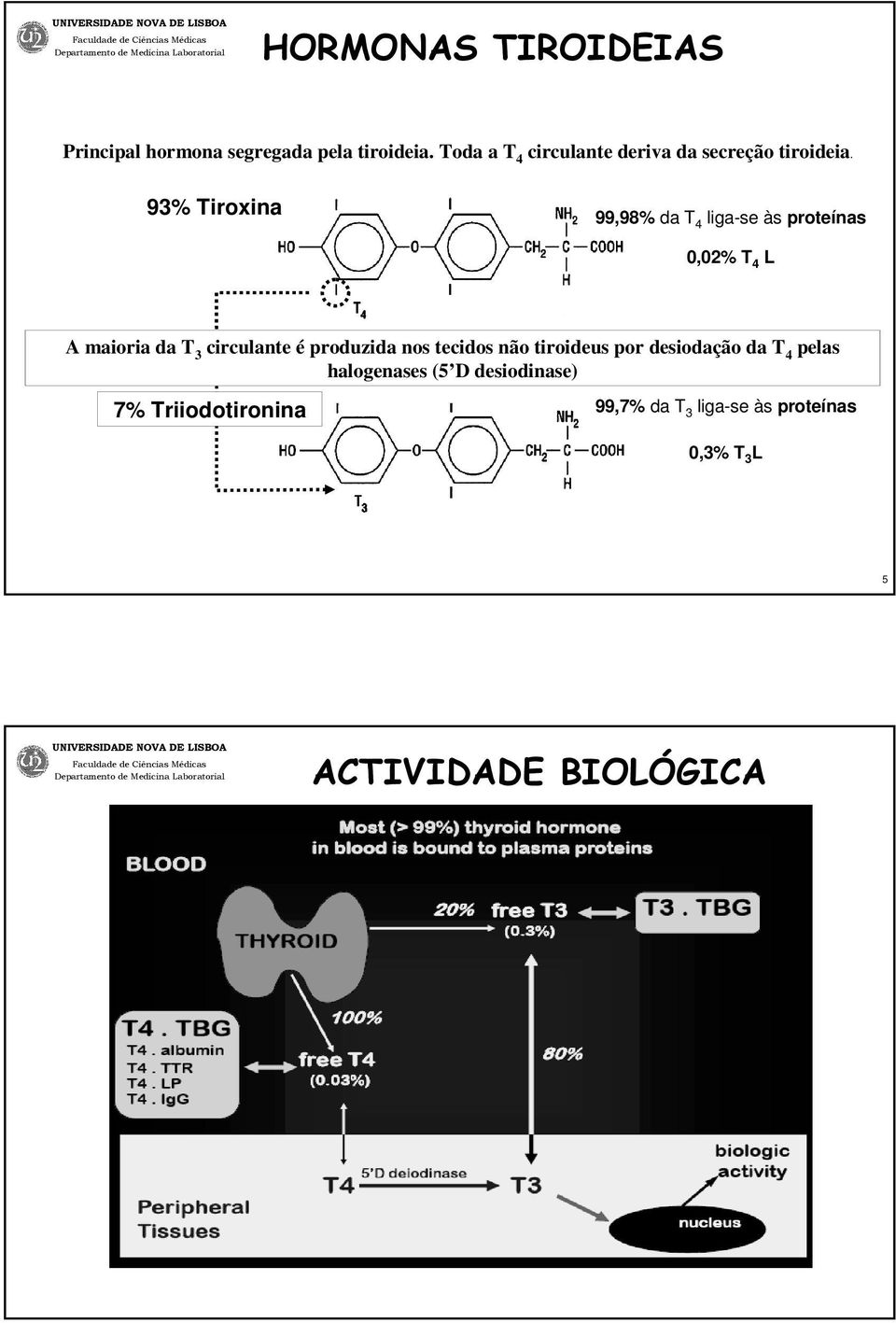 93% Tiroxina 99,98% da T 4 liga-se às proteínas 0,02% T 4 L A maioria da T 3 circulante é