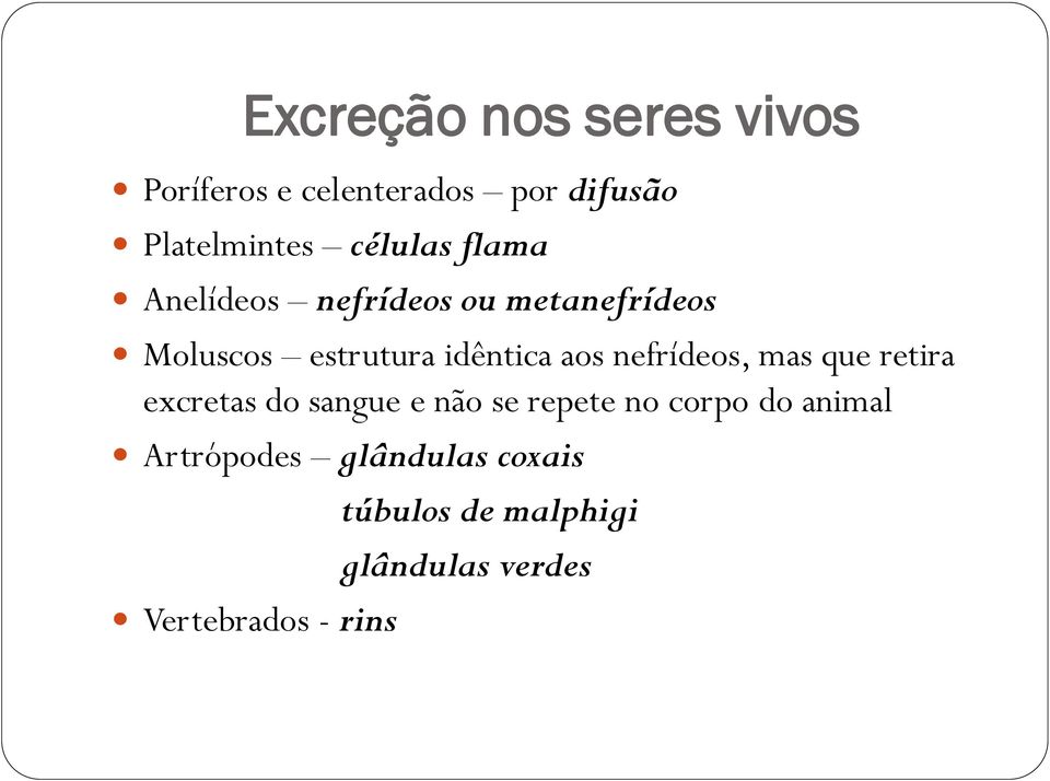 aos nefrídeos, mas que retira excretas do sangue e não se repete no corpo do