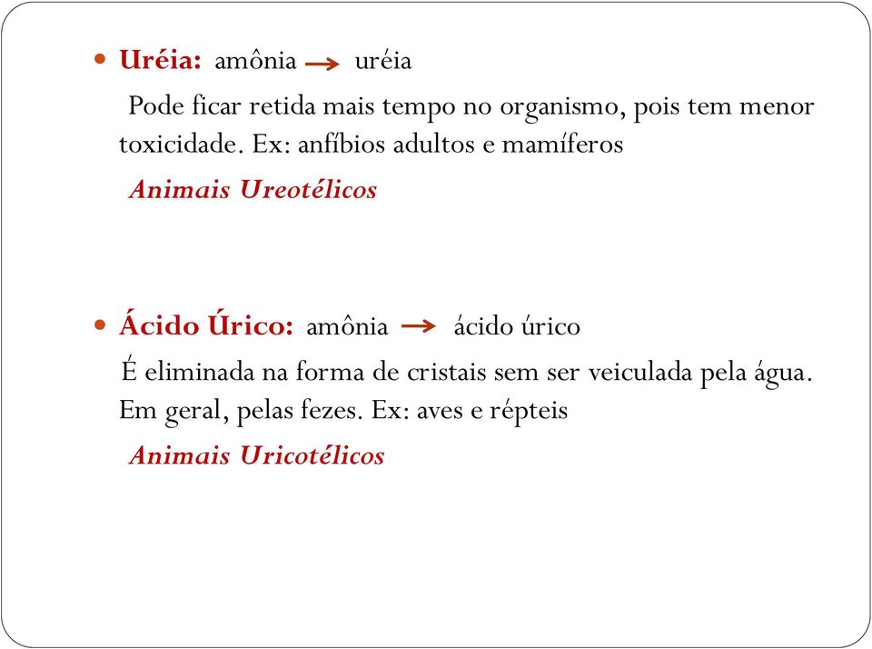 Ex: anfíbios adultos e mamíferos Animais Ureotélicos Ácido Úrico: amônia