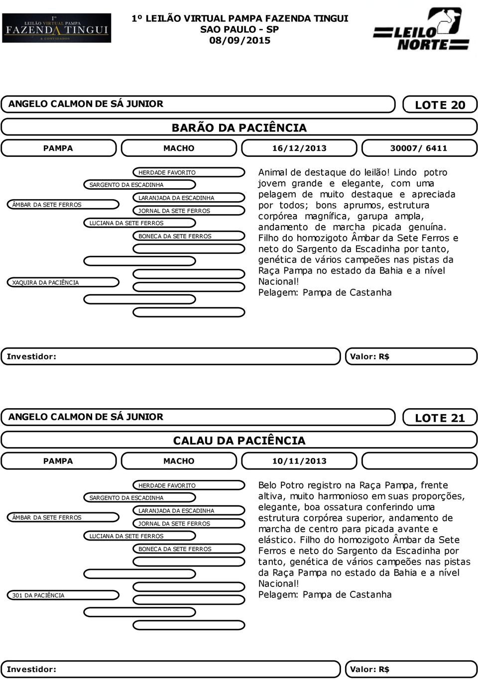 Lindo potro jovem grande e elegante, com uma pelagem de muito destaque e apreciada por todos; bons aprumos, estrutura corpórea magnífica, garupa ampla, andamento de marcha picada genuína.