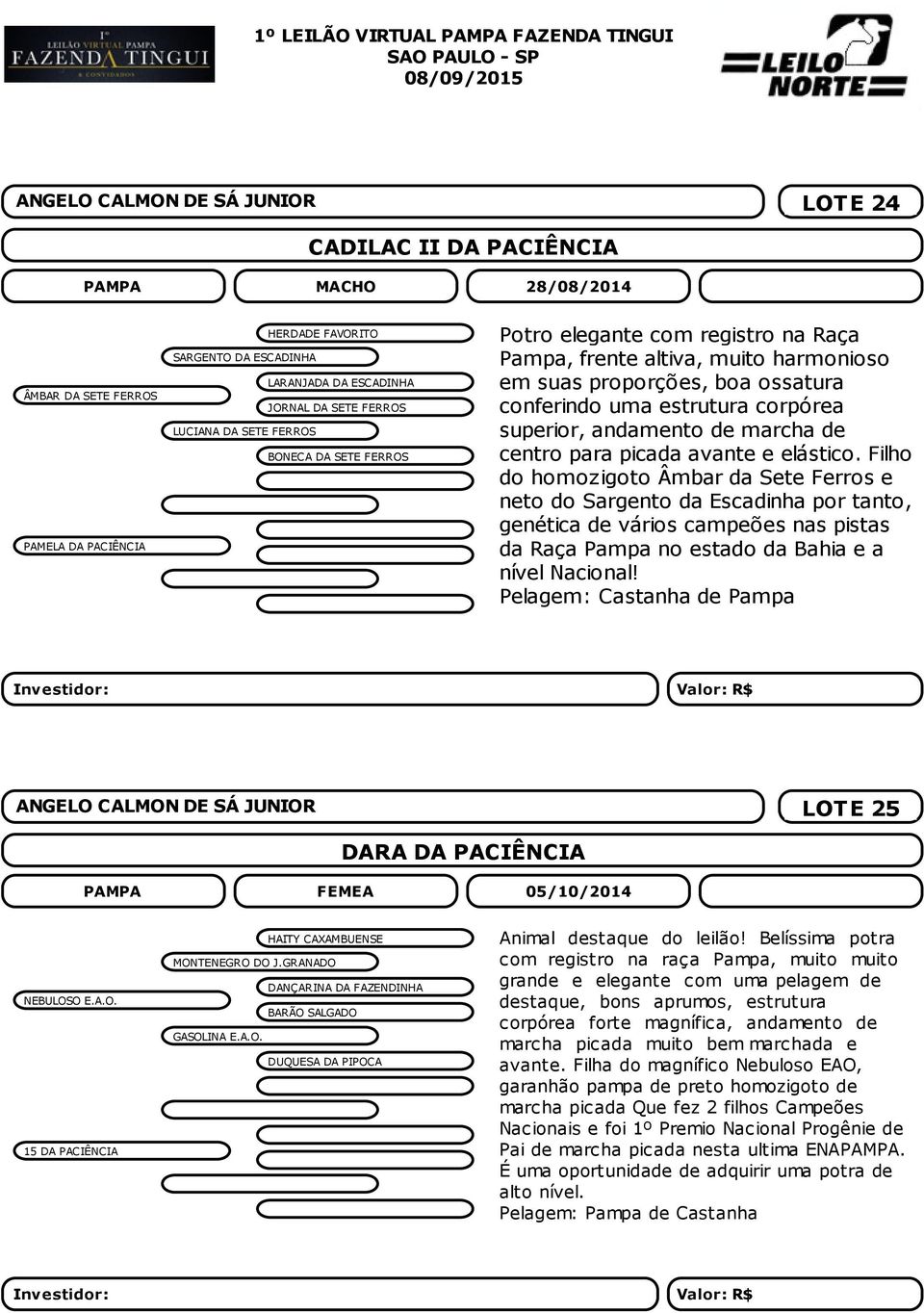 estrutura corpórea superior, andamento de marcha de centro para picada avante e elástico.