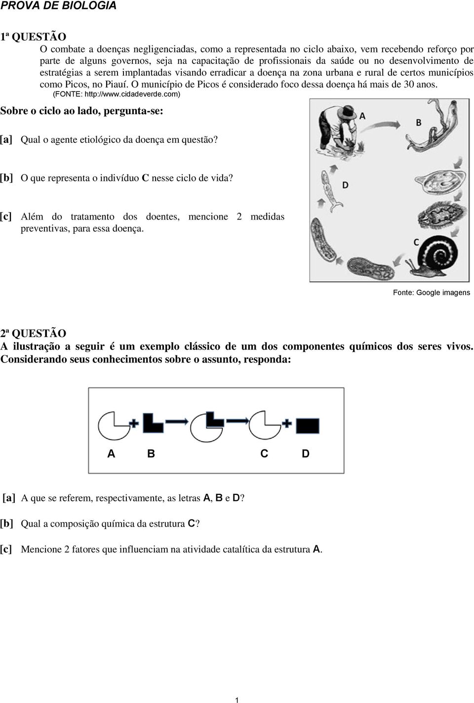 O município de Picos é considerado foco dessa doença há mais de 30 anos. (FONTE: http://www.cidadeverde.com) Sobre o ciclo ao lado, pergunta-se: [a] Qual o agente etiológico da doença em questão?