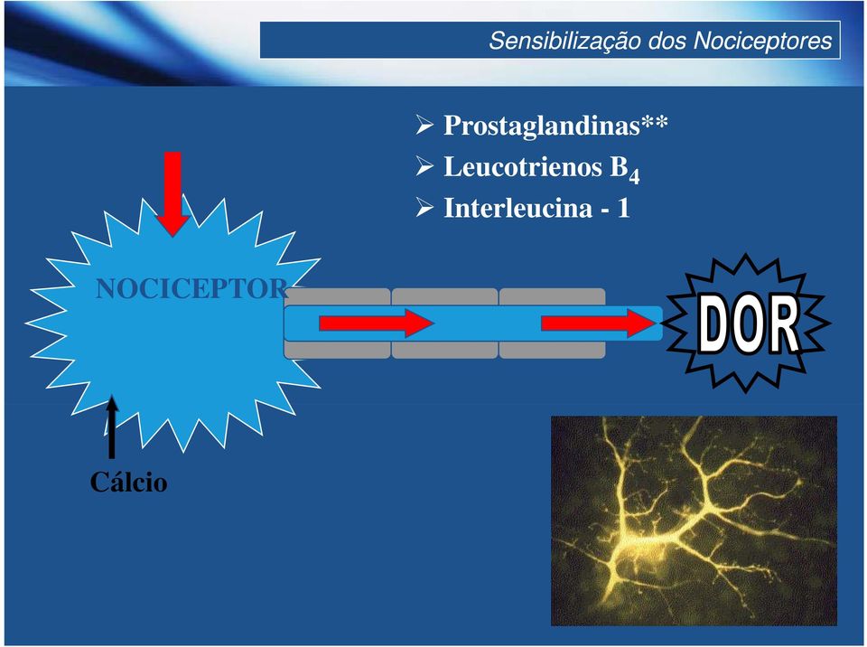 Prostaglandinas**