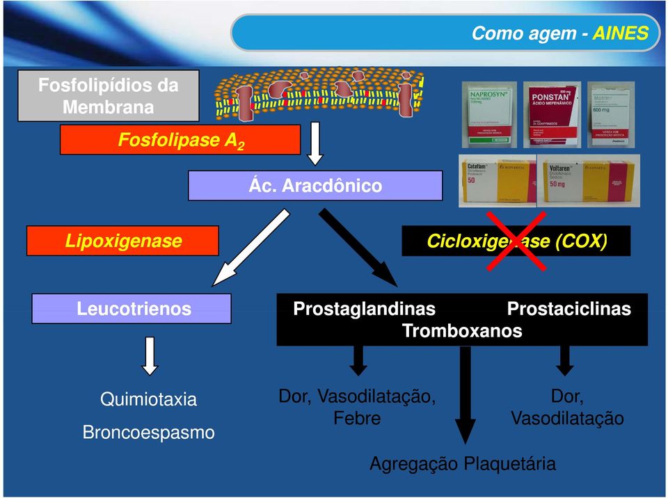 Prostaglandinas Prostaciclinas Tromboxanos Quimiotaxia