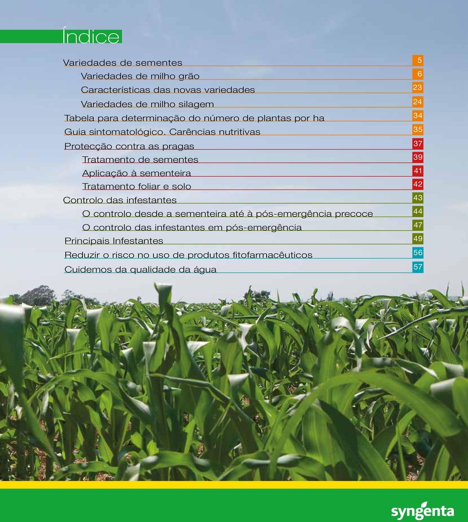 Carências nutritivas 35 Protecção contra as pragas 37 Tratamento de sementes 39 Aplicação à sementeira 41 Tratamento foliar e solo 42 Controlo das