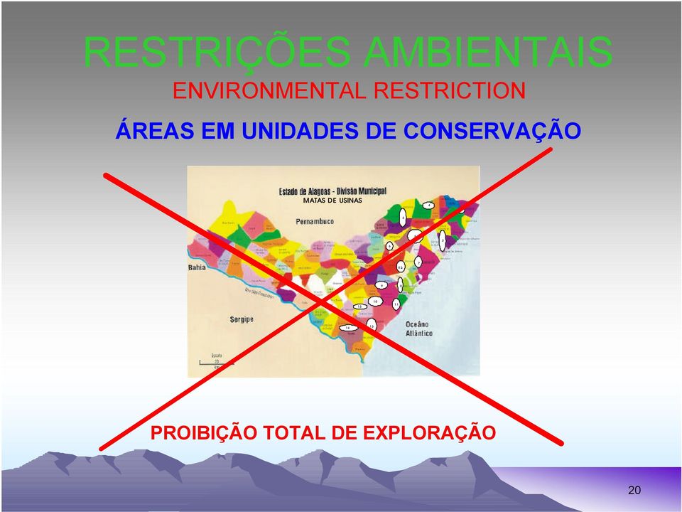 CONSERVAÇÃO MATAS DE USINAS 4 1 3 6 5 2