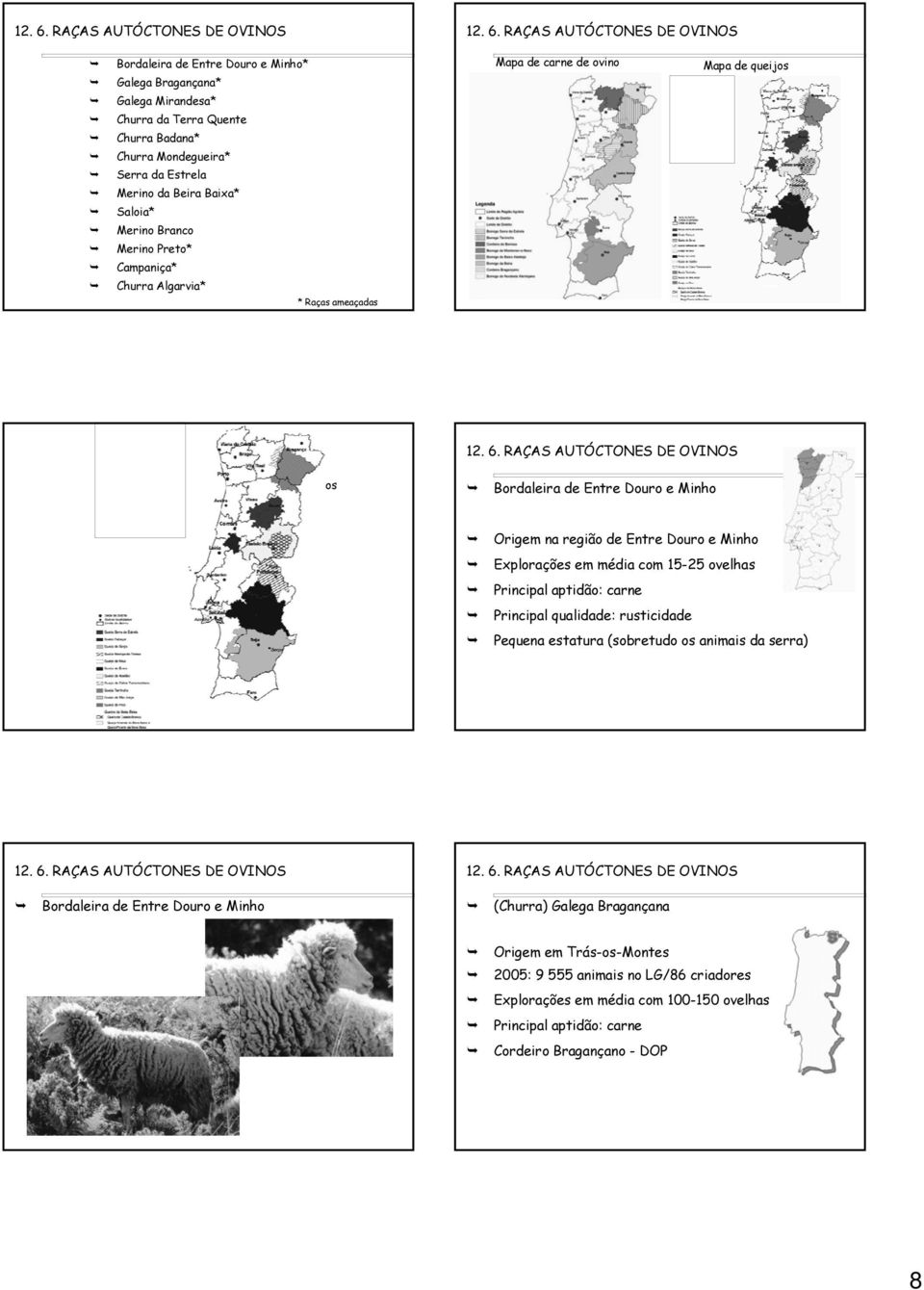 Douro e Minho Explorações em média com 15-25 ovelhas Principal aptidão: carne Principal qualidade: rusticidade Pequena estatura (sobretudo os animais da serra) Bordaleira de Entre Douro