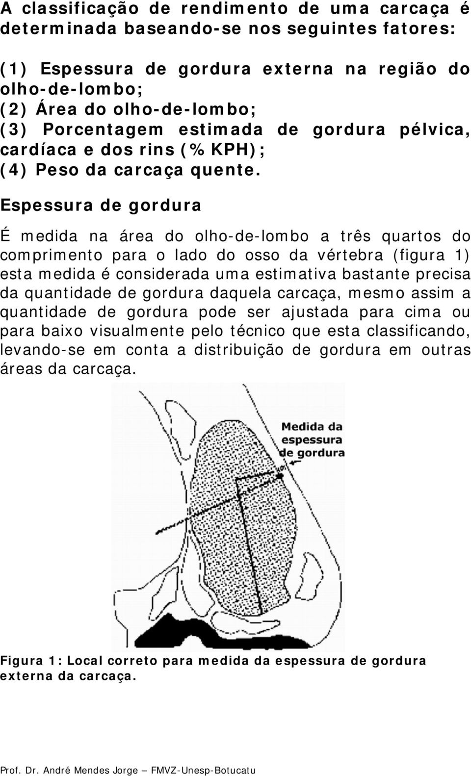 Espessura de gordura É medida na área do olho-de-lombo a três quartos do comprimento para o lado do osso da vértebra (figura 1) esta medida é considerada uma estimativa bastante precisa da