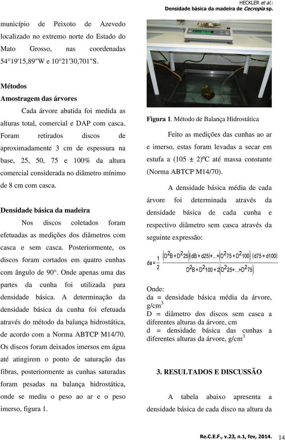 Foram retirados discos de aproximadamente 3 cm de espessura na base, 25, 50, 75 e 100% da altura comercial considerada no diâmetro mínimo de 8 cm com casca.