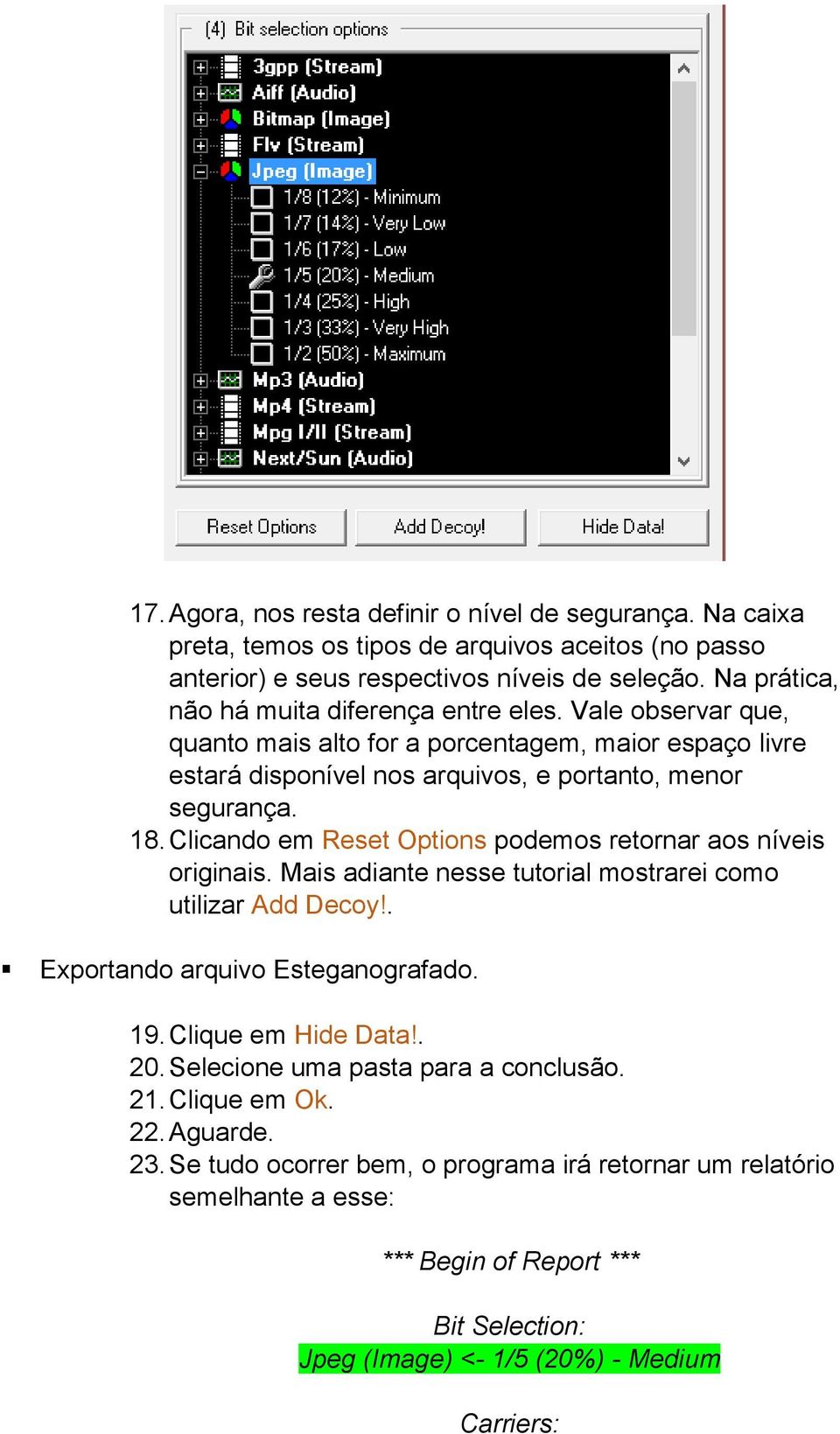 Clicando em Reset Options podemos retornar aos níveis originais. Mais adiante nesse tutorial mostrarei como utilizar Add Decoy!. Exportando arquivo Esteganografado. 19. Clique em Hide Data!. 20.