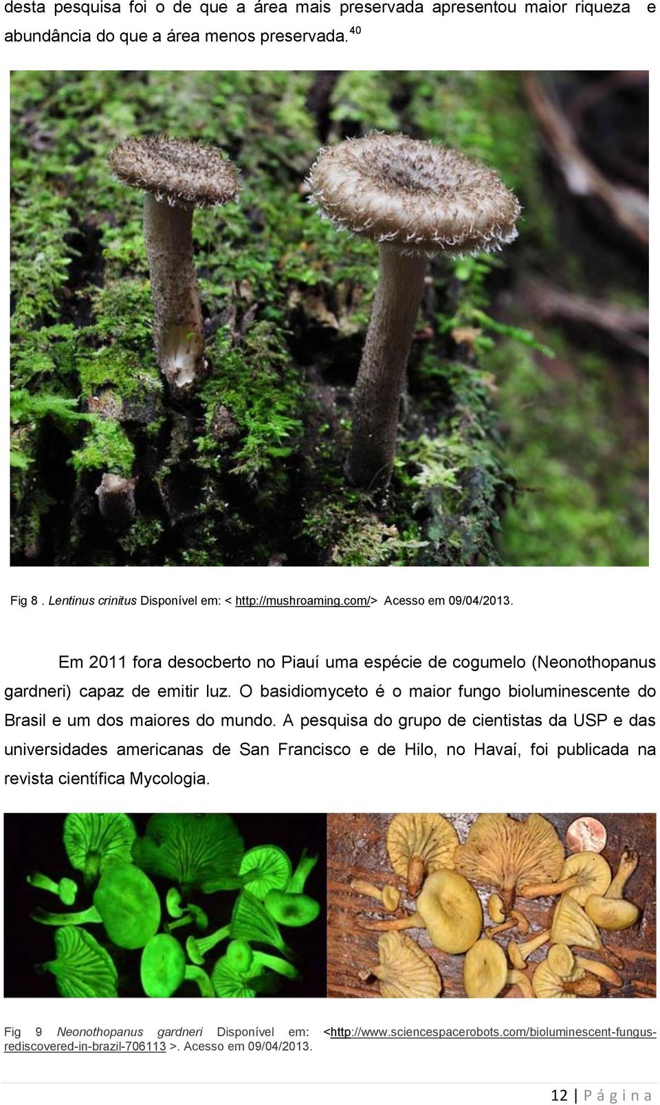 Em 2011 fora desocberto no Piauí uma espécie de cogumelo (Neonothopanus gardneri) capaz de emitir luz.